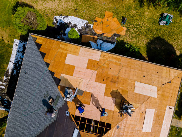 Best Roof Leak Repair  in Fern Prairie, WA