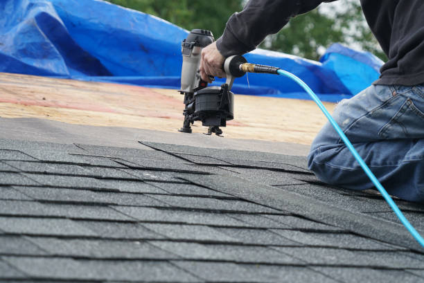 Best Metal Roofing Contractor  in Fern Prairie, WA
