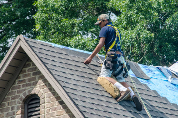 Best Roof Leak Repair  in Fern Prairie, WA